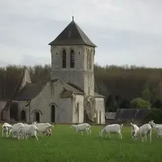 Abbaye d asnieres 1